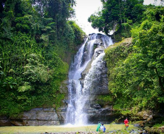 Hutan: Tempat Berkumpul Keluarga di Cilacap